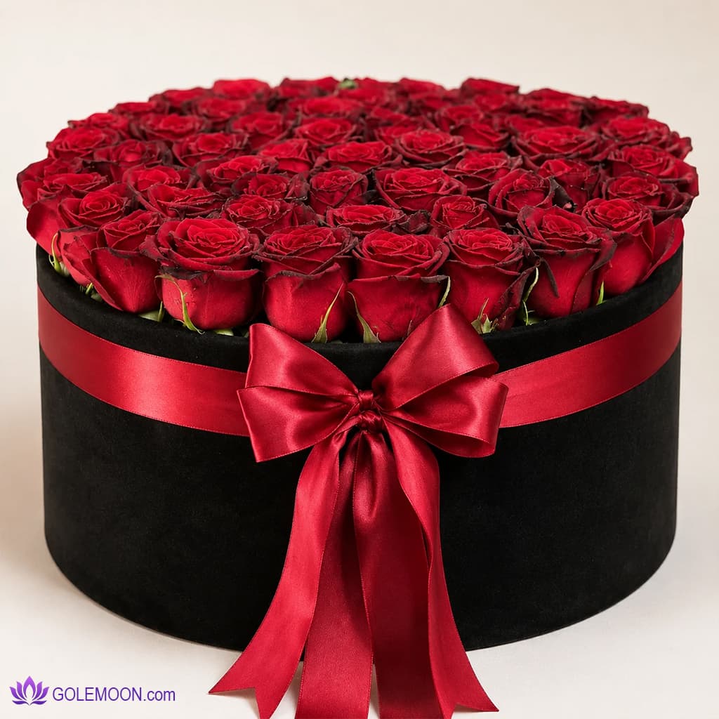 باکس گل آلبان