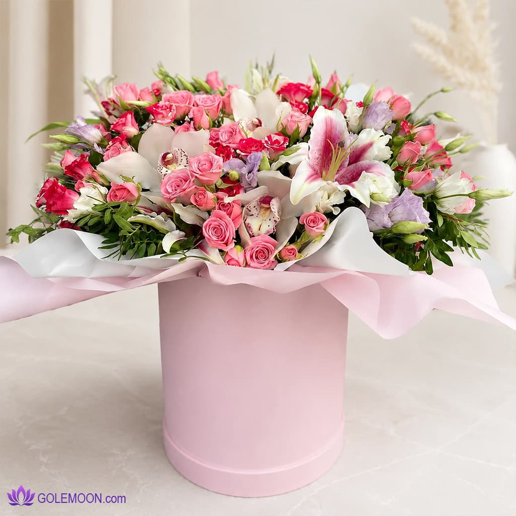باکس گل پیتون