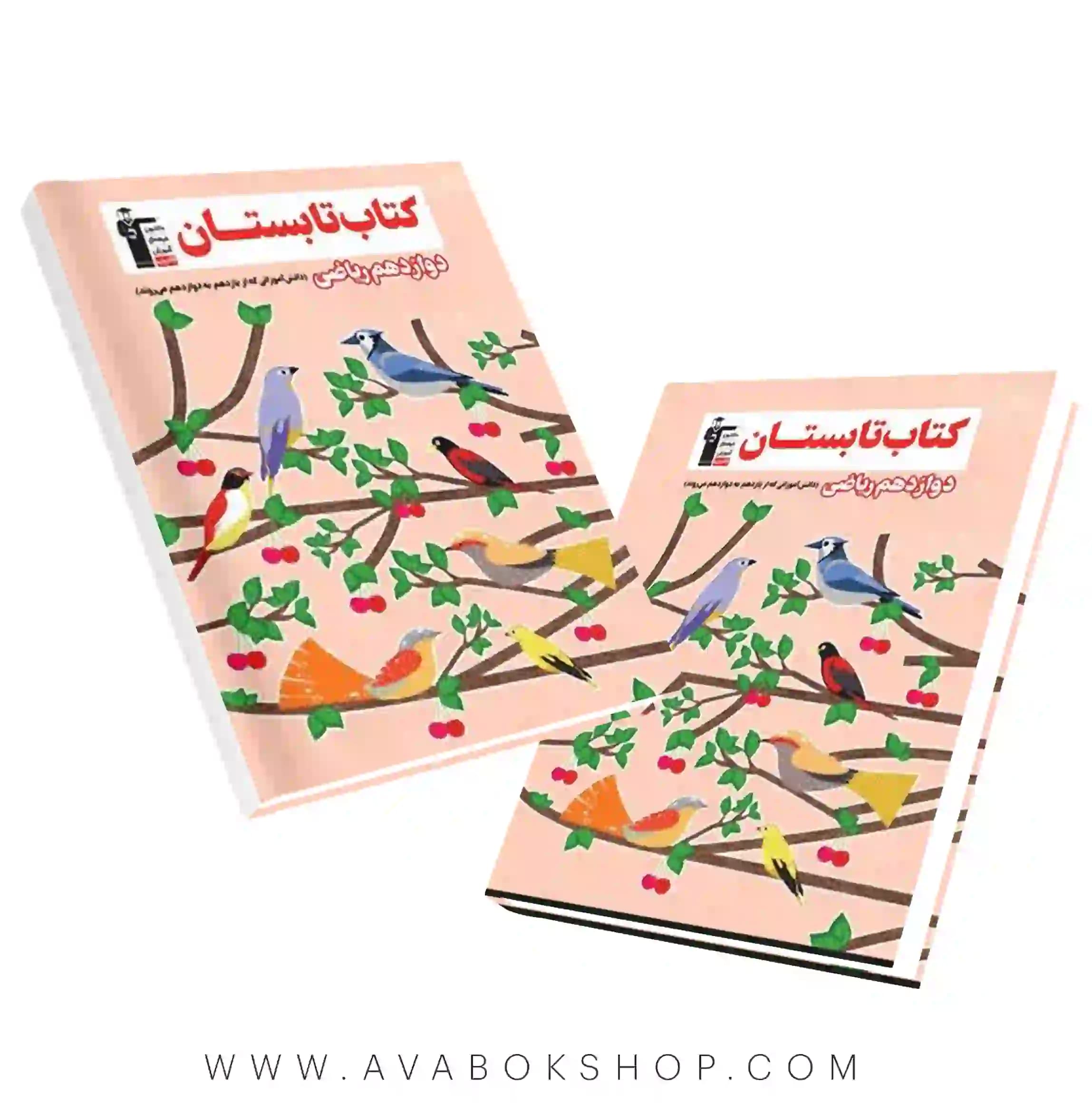 کتاب تابستان دوازدهم ریاضی قلم چی — تصویر ۲