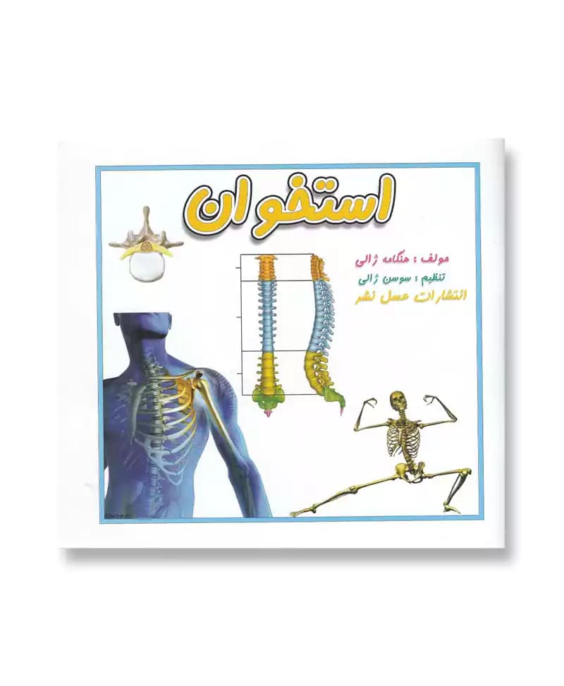 استخوان