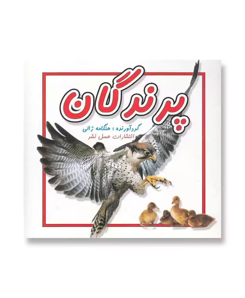 پرندگان