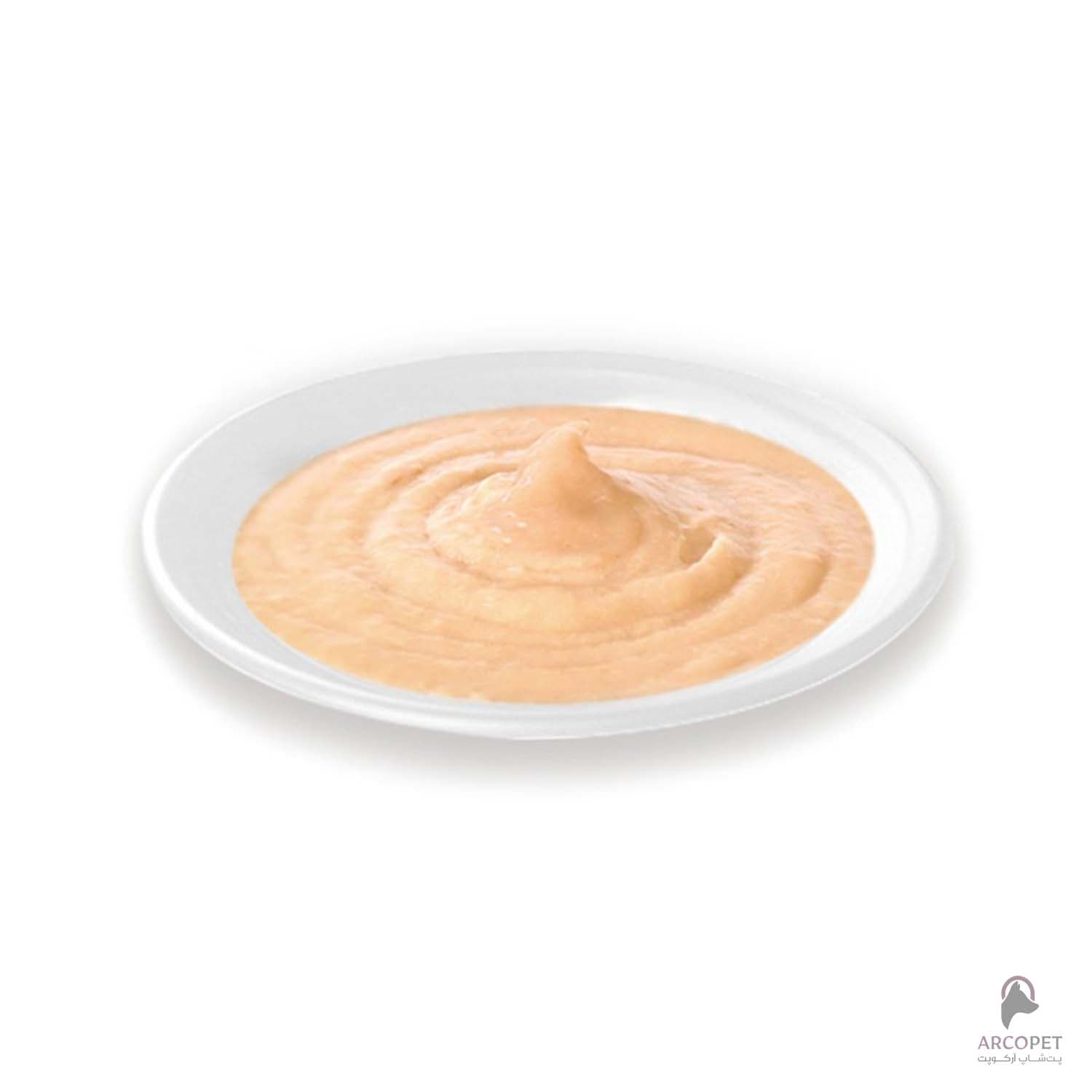 بستنی گربه ونپی مدل پوست و مو با طعم ماهی تن و سالمون بسته 5 عددی — تصویر ۲