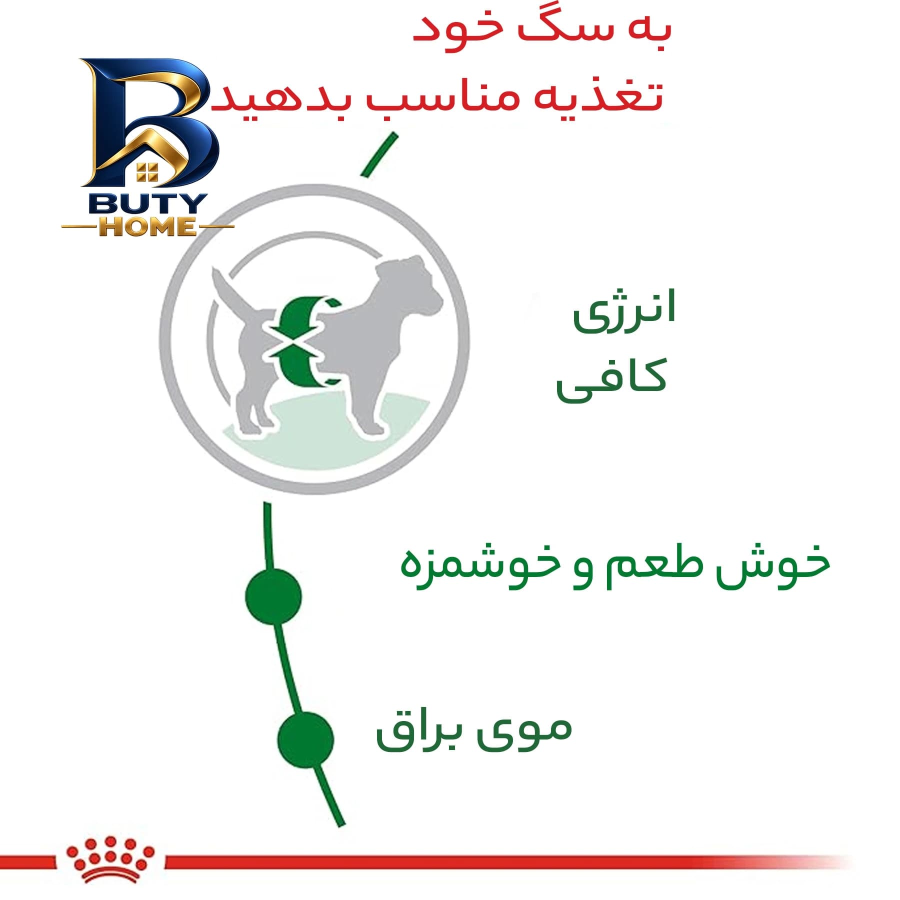 غذای خشک سگ رویال کنین مدل ادالت مینی وزن 2 کیلوگرم — تصویر ۸