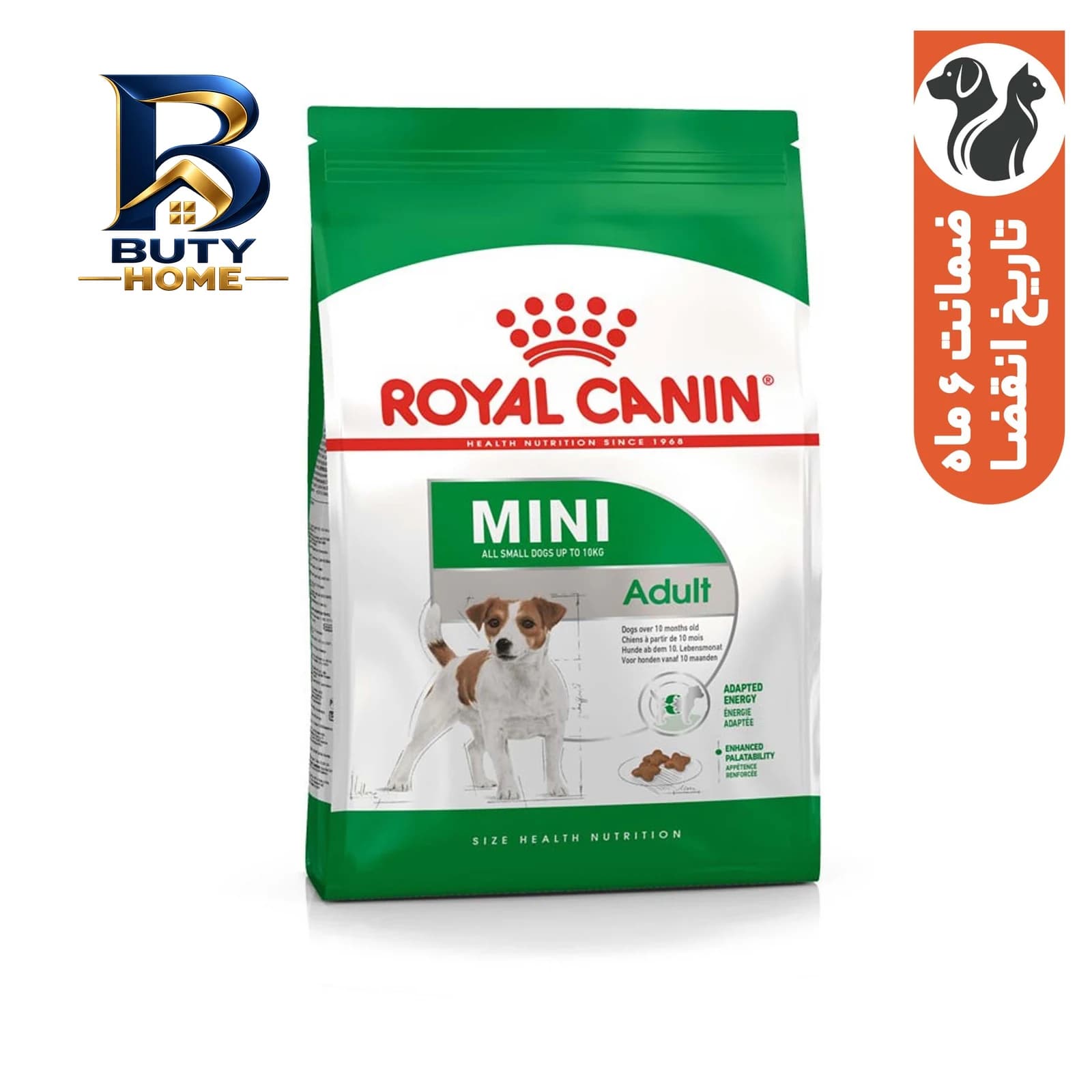 غذای خشک سگ کوچک رویال کنین مدل Mini Adult وزن 2 کیلوگرم — تصویر ۱۱