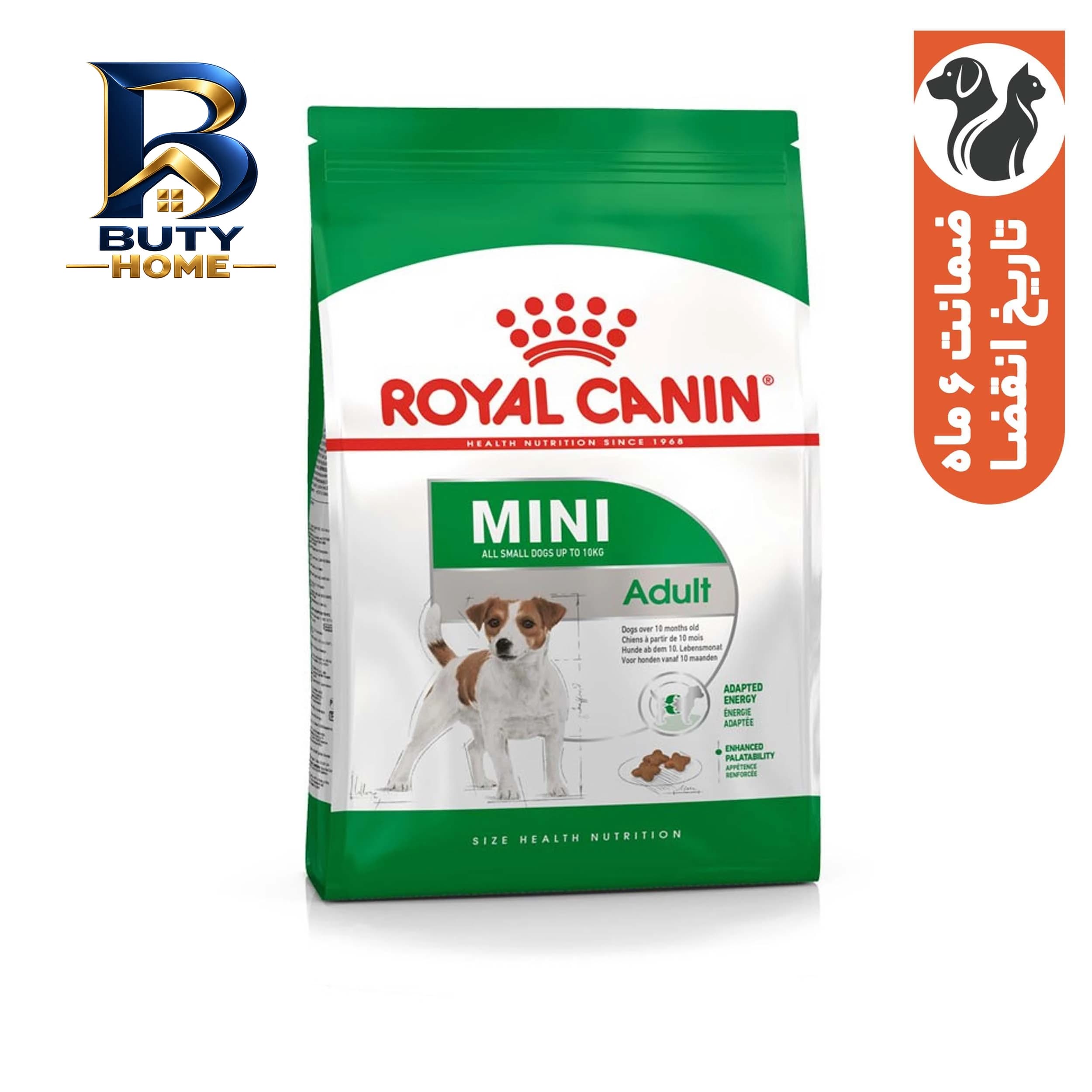 غذای خشک سگ کوچک رویال کنین مدل Mini Adult وزن 2 کیلوگرم — تصویر ۴