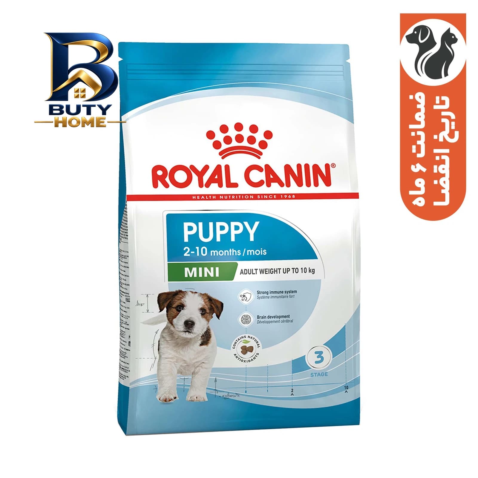 غذای خشک توله سگ نژاد کوچک رویال کنین مدل Mini Puppy با وزن 2 کیلوگرم — تصویر ۸