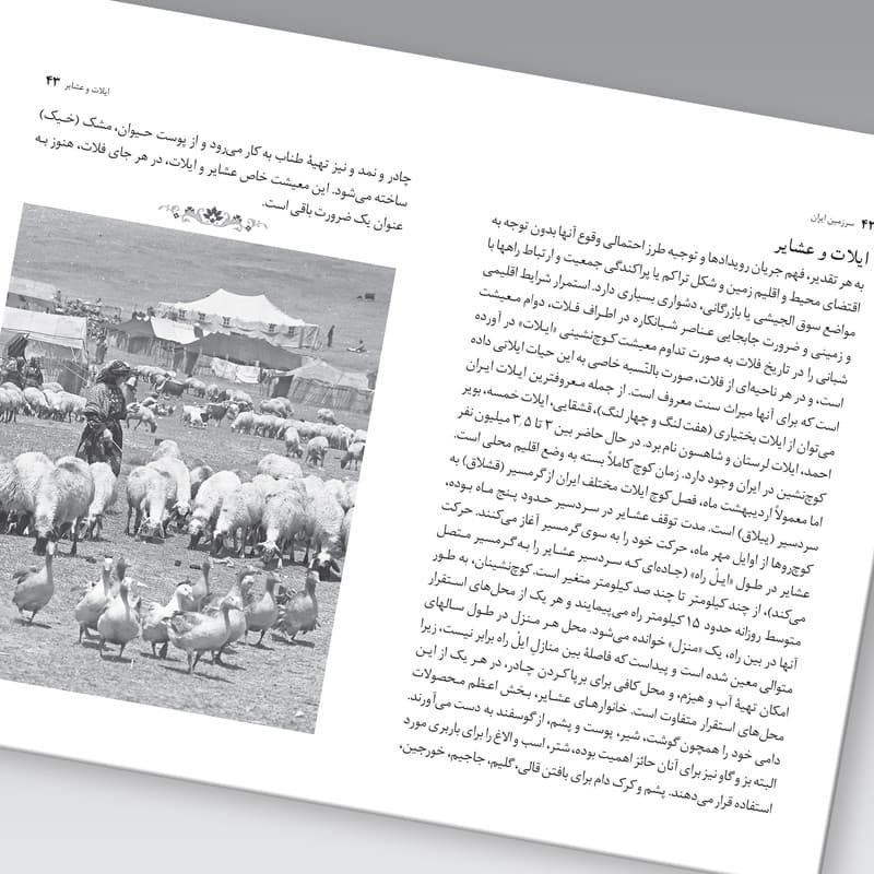 کتاب تاریخ ایران اثر عبدالحسین زرین کوب نشر زرین و سیمین — تصویر ۷