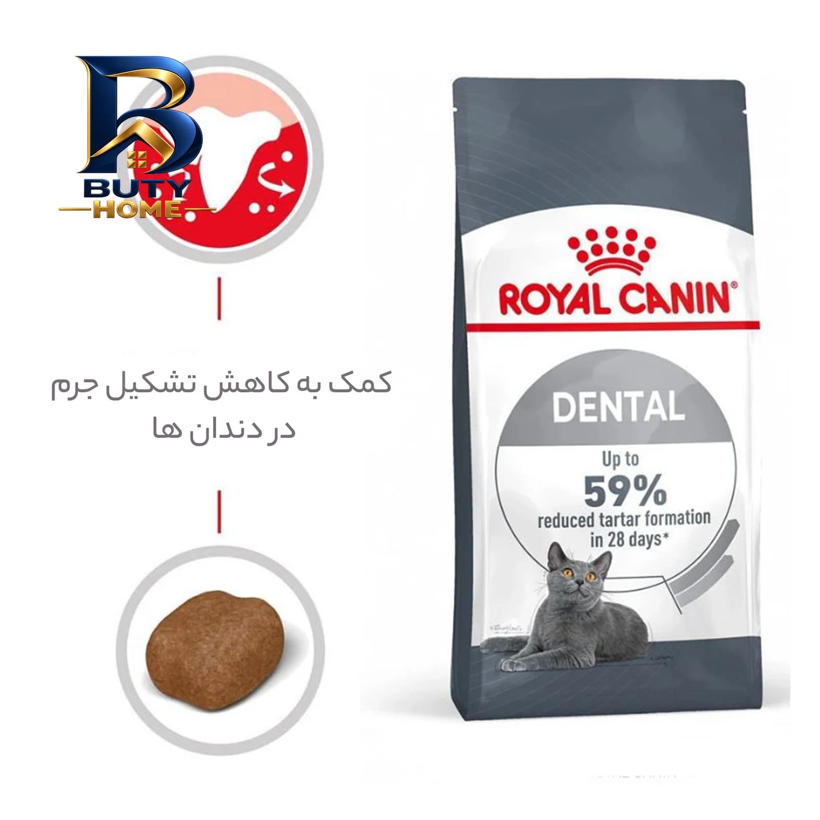 غذای خشک گربه رویال کنین مدل Dental برای سلامت دهان و دندان وزن 1.5 کیلوگرم — تصویر ۱۲