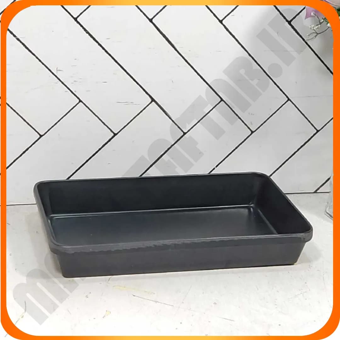 b1425 بشقاب فیله سوخاری لرد مهروز