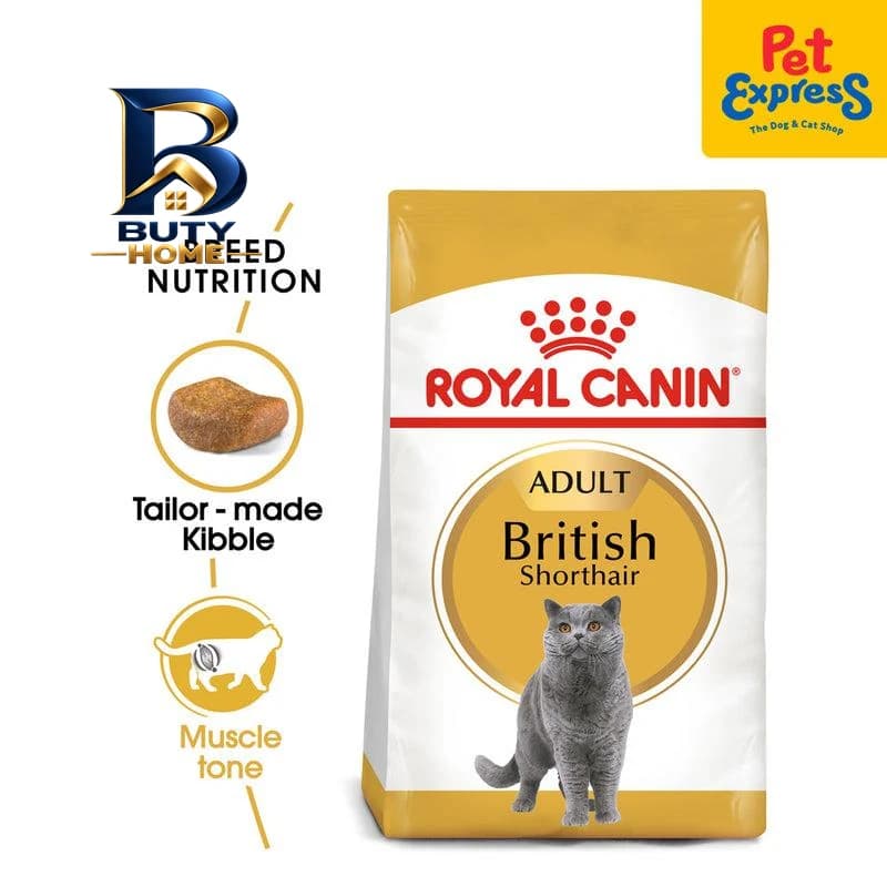 غذای خشک گربه بالغ رویال کنین مدل British shorthair وزن 2 کیلوگرم به همراه بستنی — تصویر ۱۱