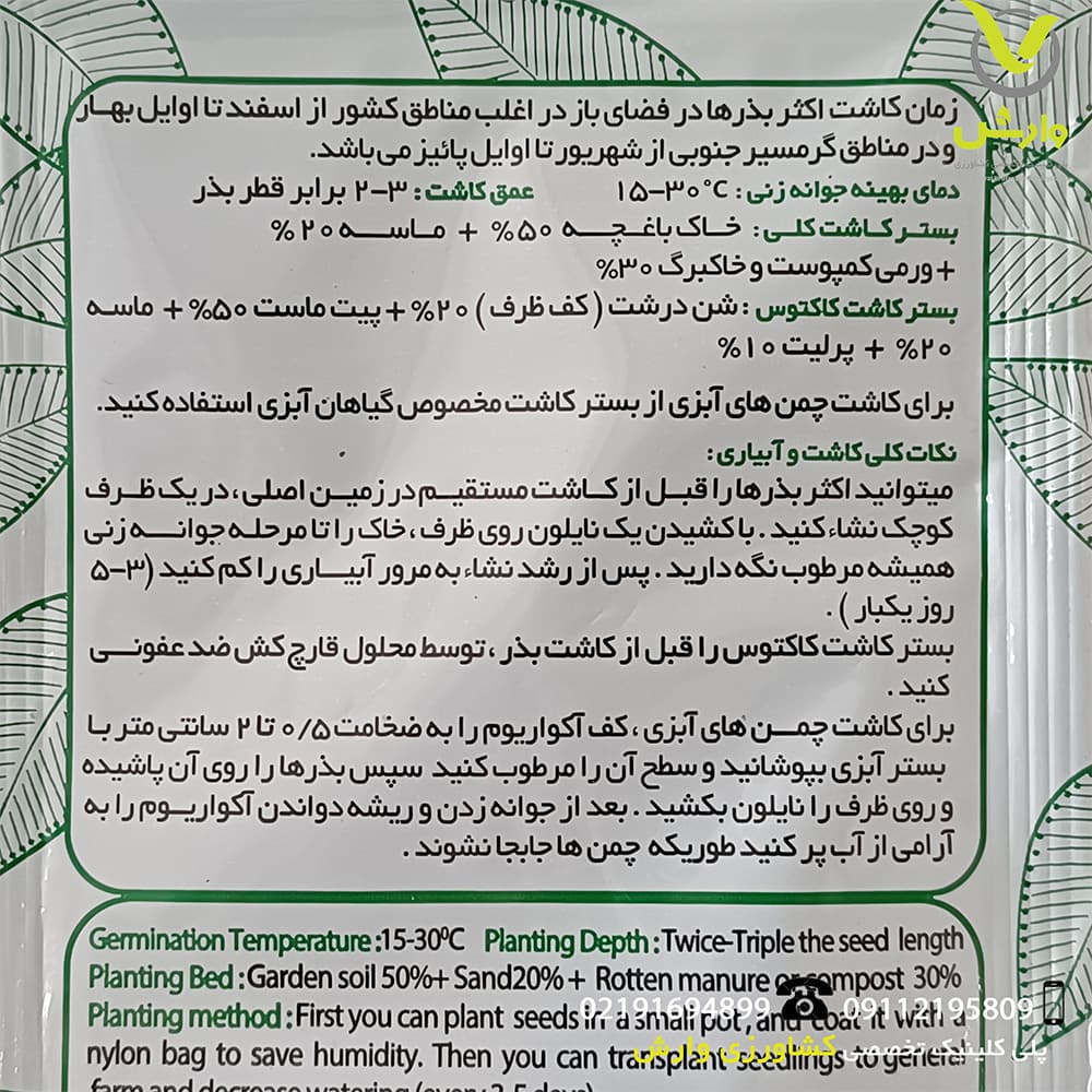 بذر گیاه زینتی فلفل زینتی گیلاسی رویش بذر — تصویر ۳