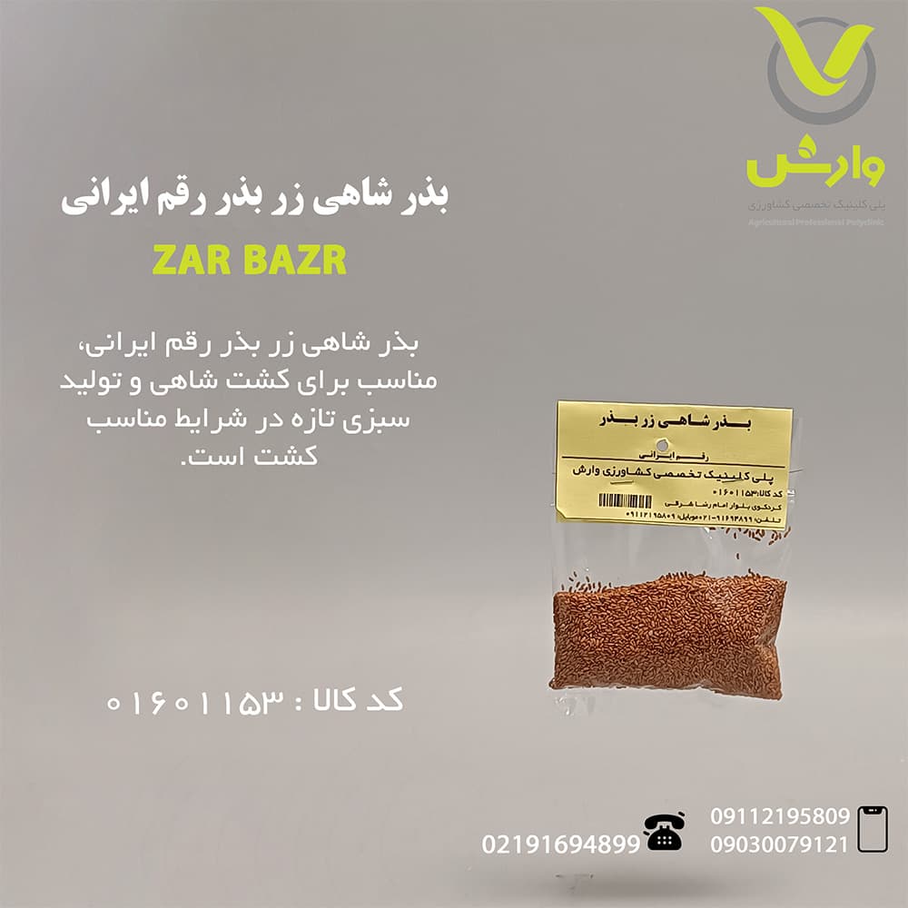 بذر شاهی زر بذر رقم ایرانی