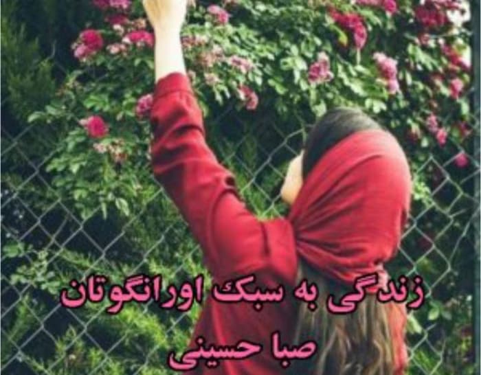 رمان زندگی به سبک اورانگوتان از نویسنده صبا حسینی _ کامل | دانلود | کتاب خوان