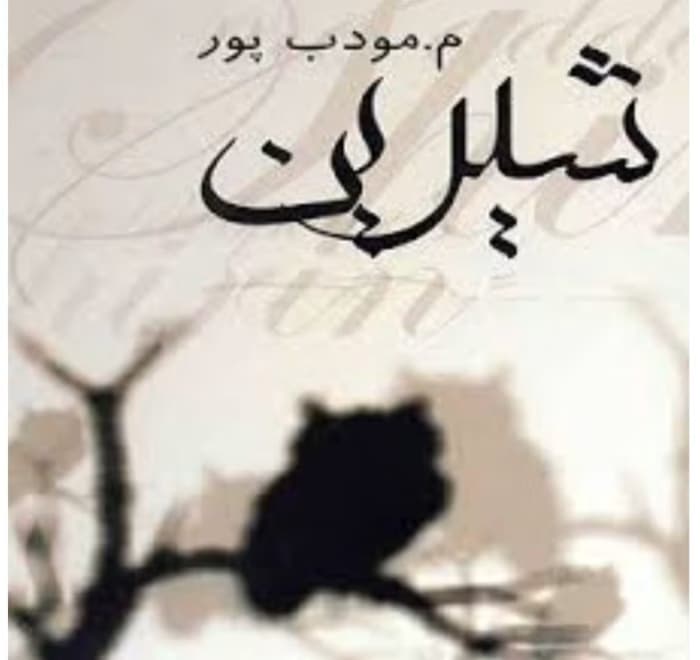 رمان شیرین از نویسنده مرتضی مودب پور _ کامل | دانلود | کتاب خوان