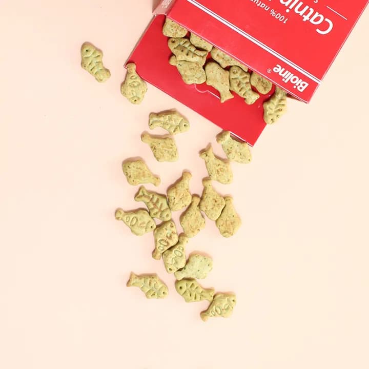 تشویقی بیسکوییتی گربه حاوی کت نیپ برند بایولاین طعم ماهی سالمون وزن 80 گرم Bioline Catnip Biscuits — تصویر ۲