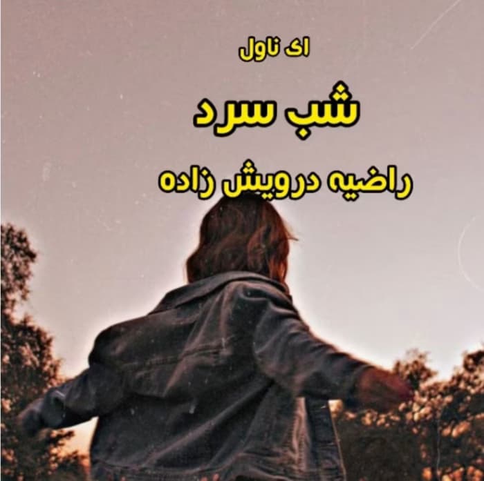 رمان شب سرد _ عاشقانه ای معمایی و جنایی | دانلود | کتاب خوان