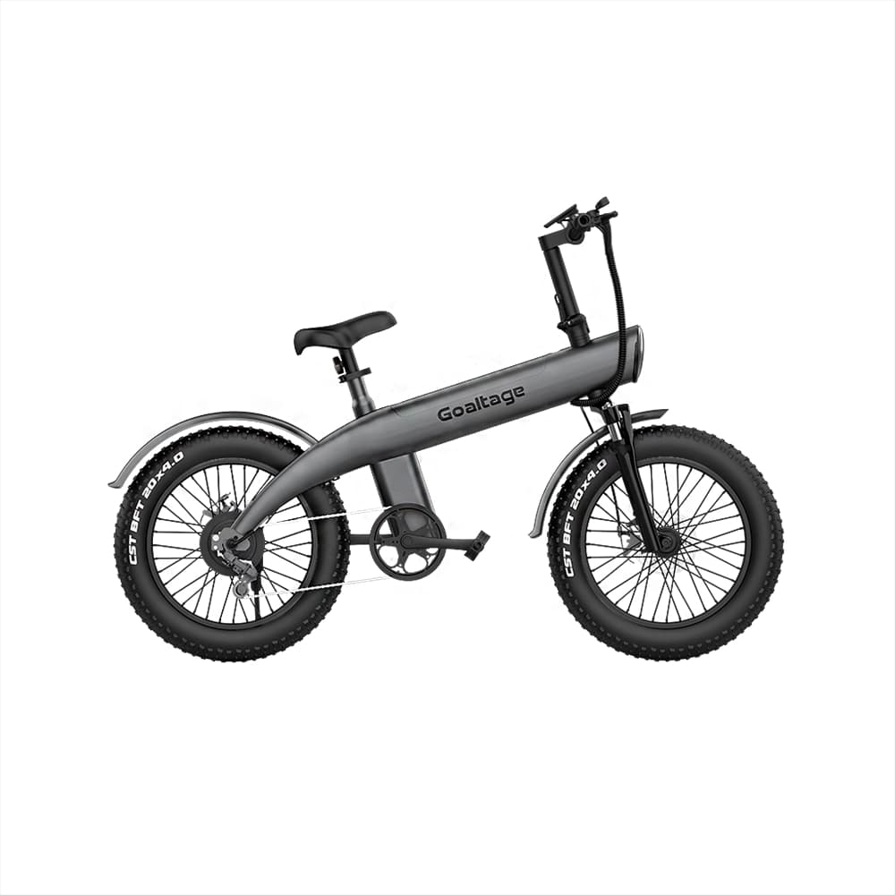 دوچرخه الکترونیکی گلتیج مدل Goaltage EBK01 EcoMotion 250W Electric Bike