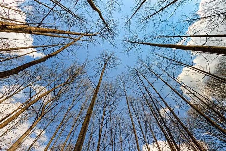 پوستر سه بعدی منظره آسمان — تصویر ۲