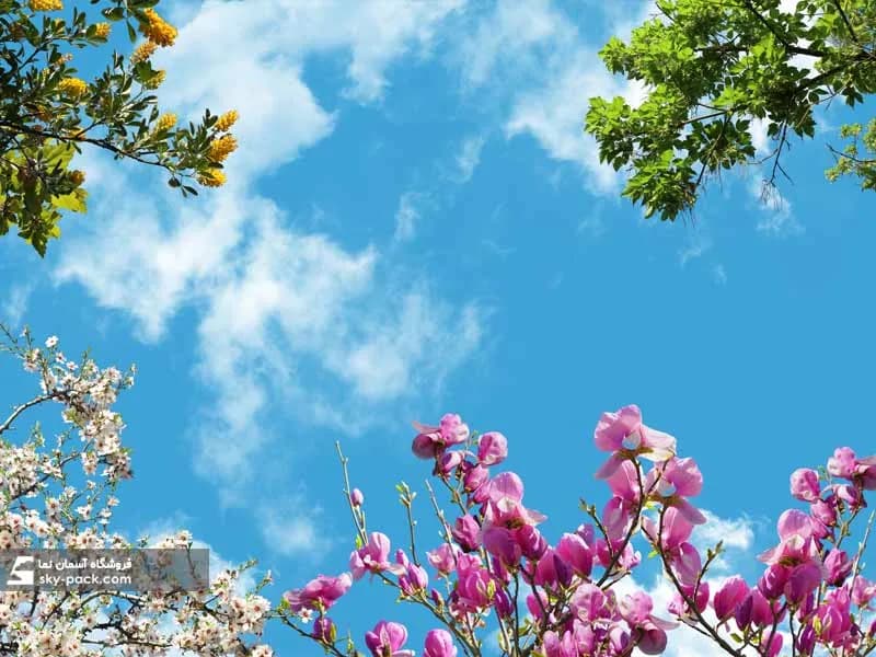 آسمان مجازی طرح شکوفه های بادام — تصویر ۳