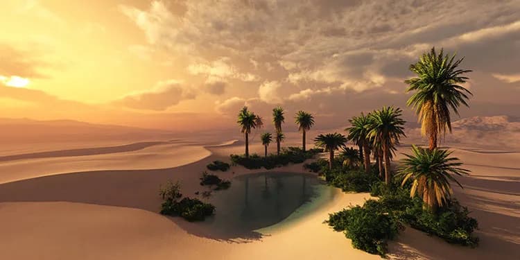 پوستر دیواری غروب آفتاب