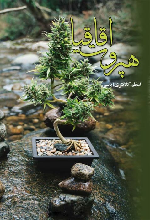 رمان هپروت اقاقیا اثر اعظم کلانتری(یاسی) | دانلود | کتاب خوان
