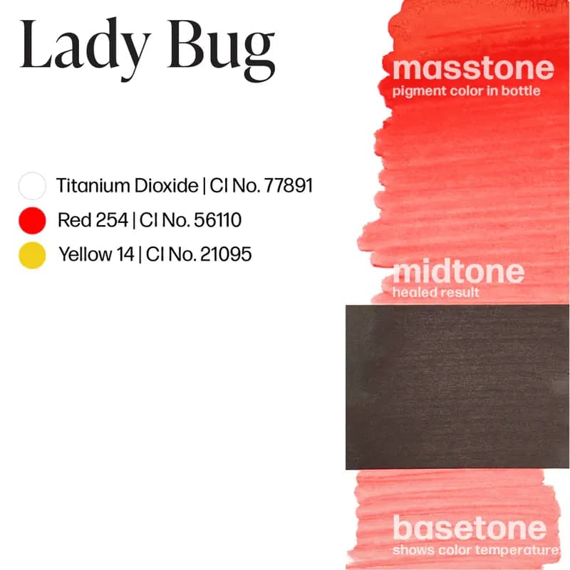 پرمابلند لیدی باگ (Lady Bug) — تصویر ۳
