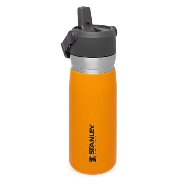 قمقمه Stanley مدل The Iceflow ظرفیت 0.65 لیتر