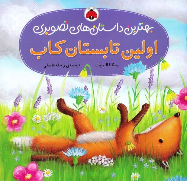 بهترین داستان های تصویری – اولین تابستان کاب