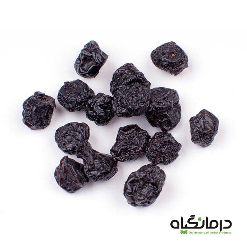 میوه بلوبری — تصویر ۲