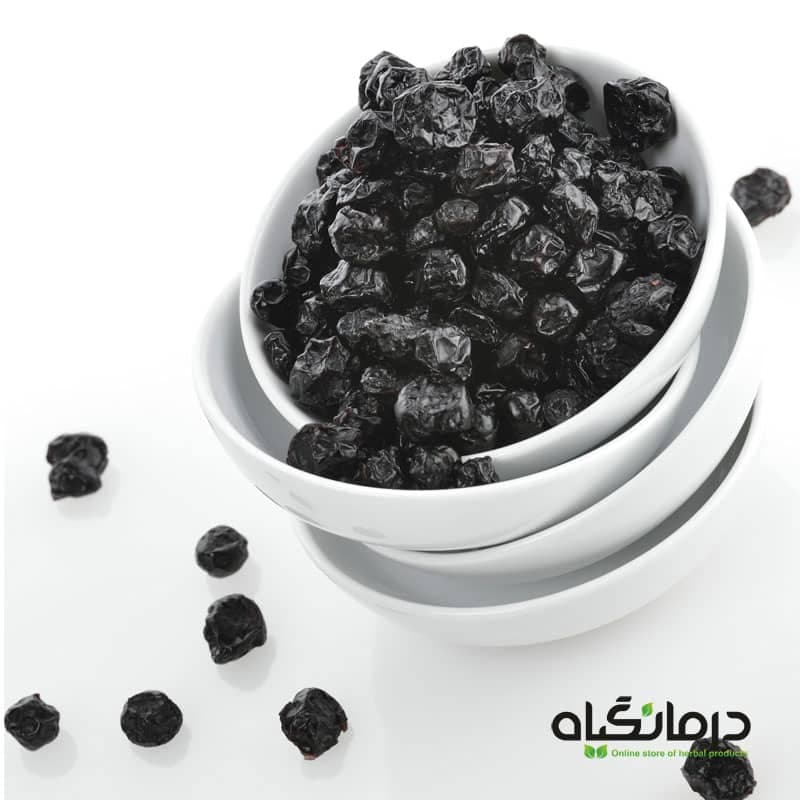 میوه بلوبری — تصویر ۳