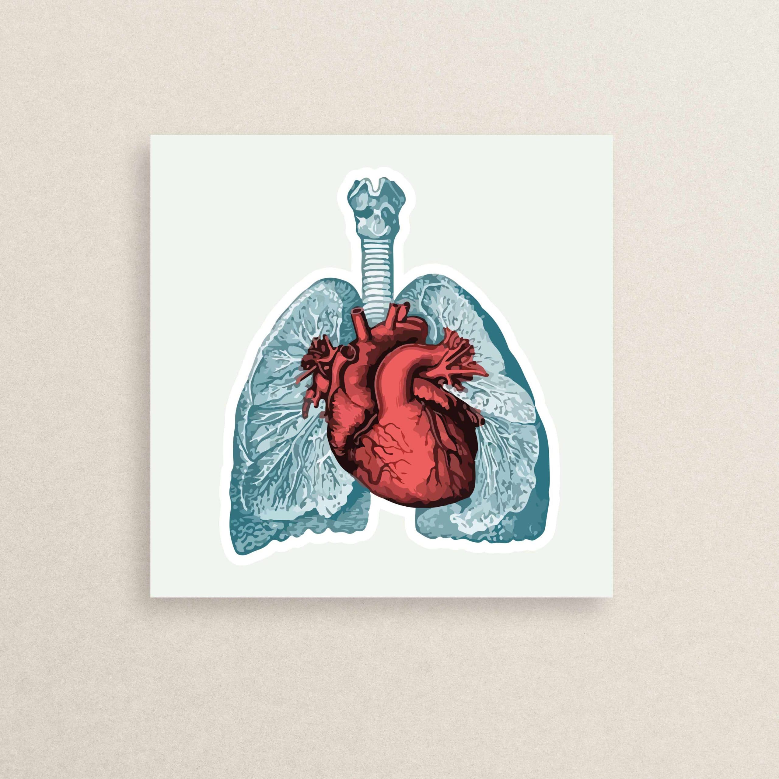 استیکر پزشکی – قلب 30 | Medical – Heart sticker 30