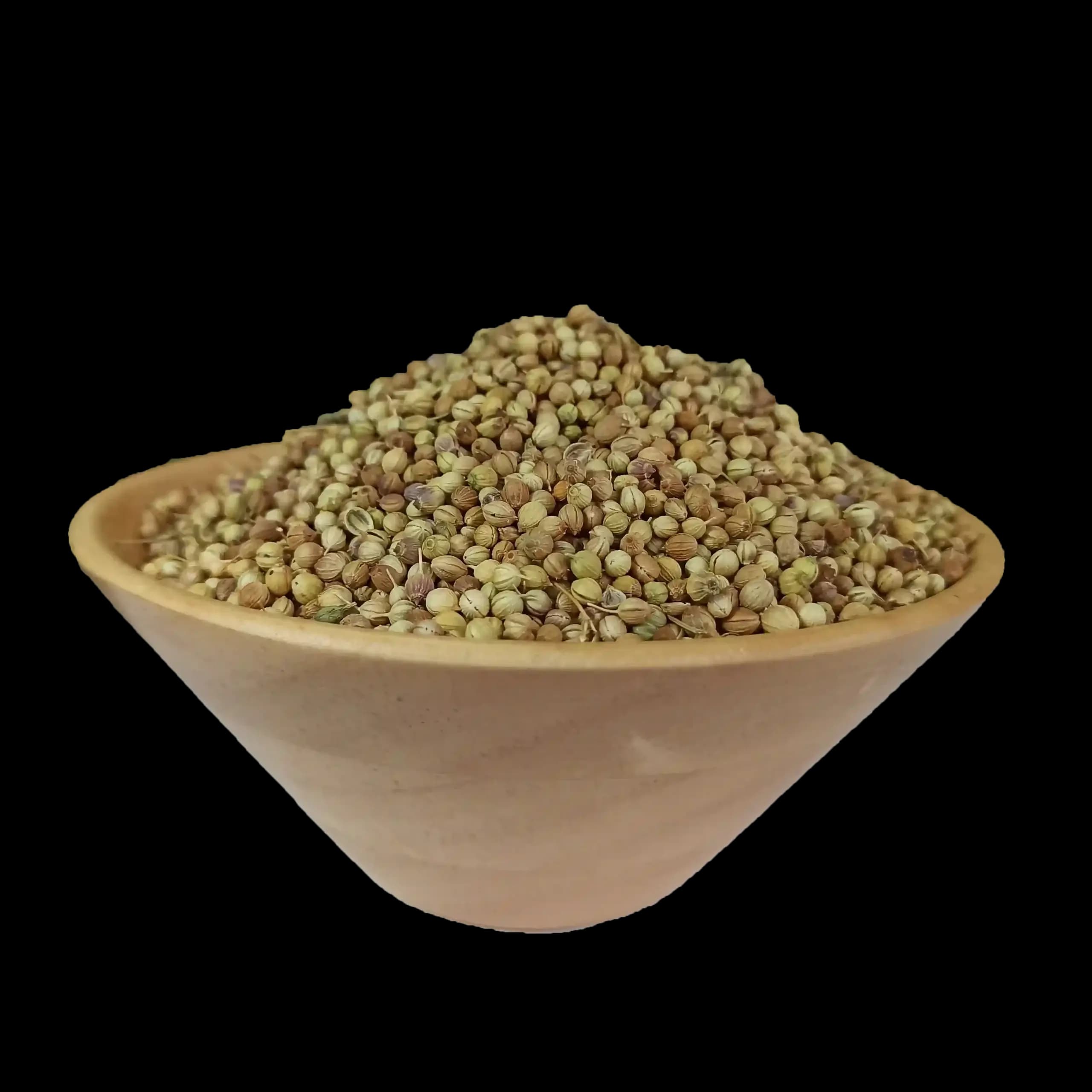 گشنیز بسته 100 گرمی