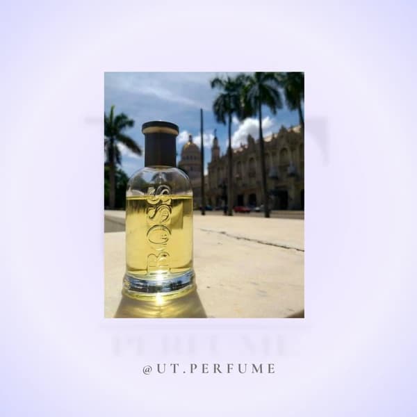 عطر هوگو باس باتلد(بوس باتل) مردانه | Hugo Boss – Bottled — تصویر ۶
