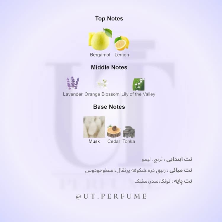 عطر اورتو پاریسی برگاماسک | Orto Parisi – Bergamask — تصویر ۳