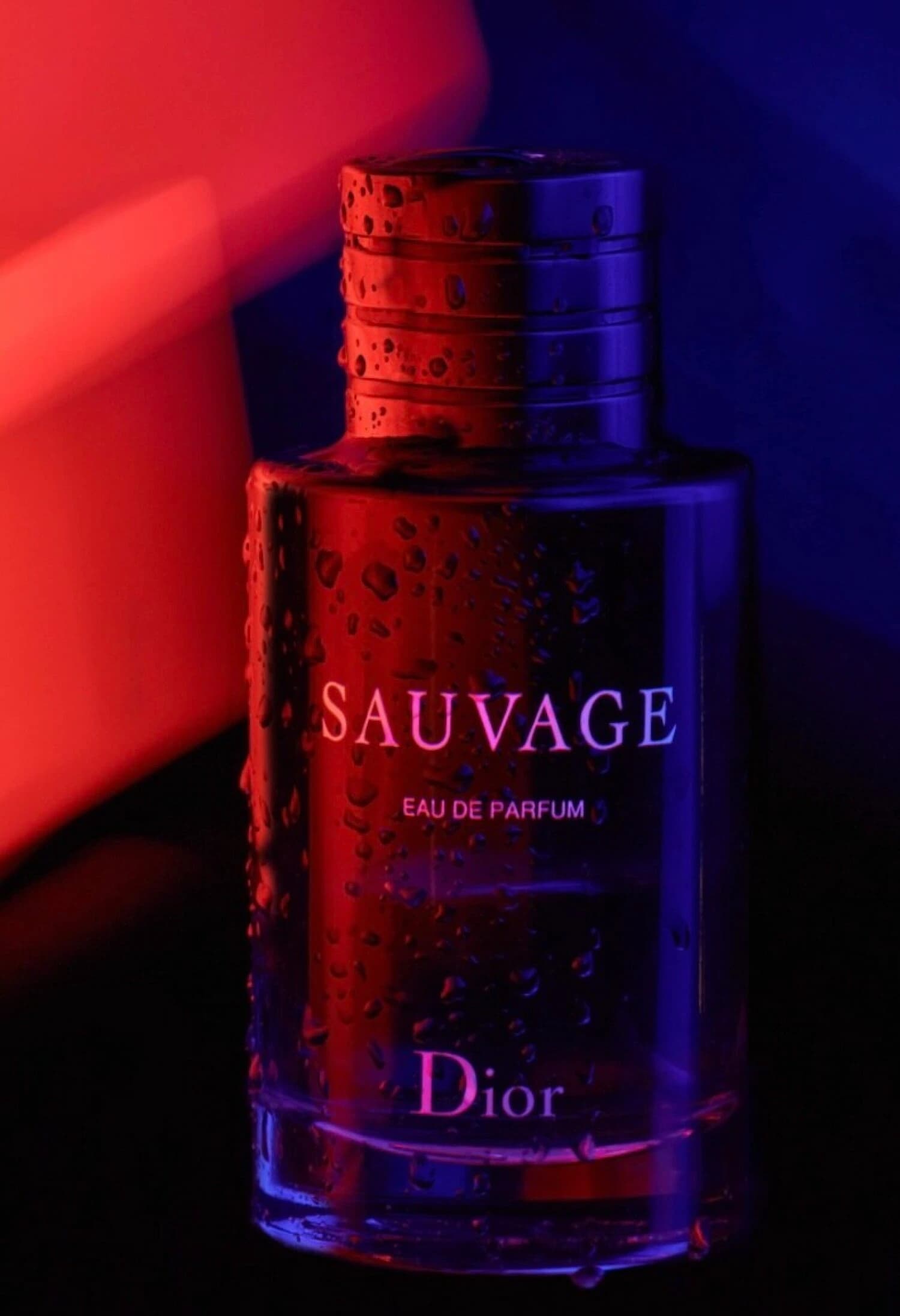 دیور ساوویج پرفوم مردانه 200 میل DIOR SAUVAGE PARFUM 200ML — تصویر ۴