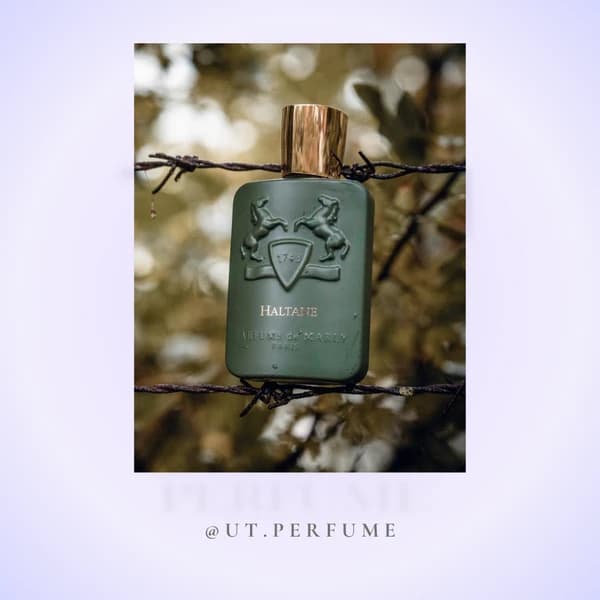 عطر مارلی هالتان مردانه | Parfums de Marly – Haltane — تصویر ۵