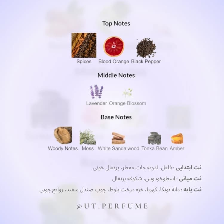 عطر مارلی کالان مردانه | Parfums de Marly – Kalan — تصویر ۳