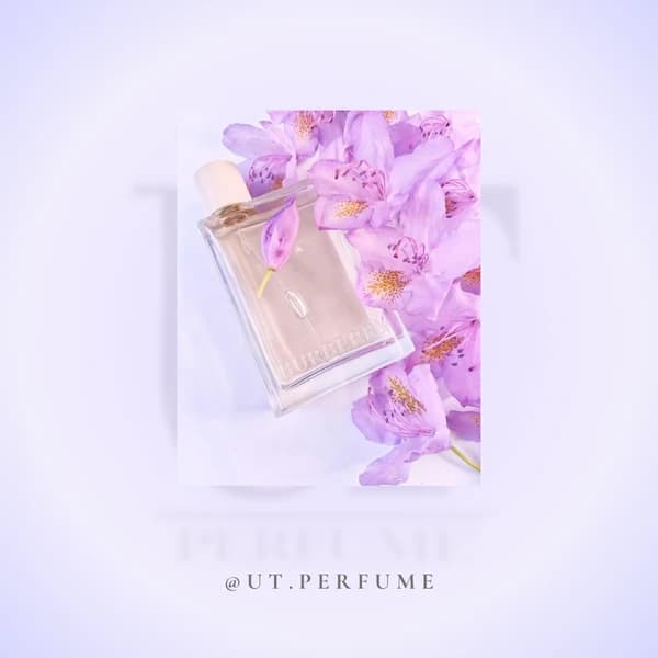 عطر باربری هر زنانه | Burberry – Her — تصویر ۶