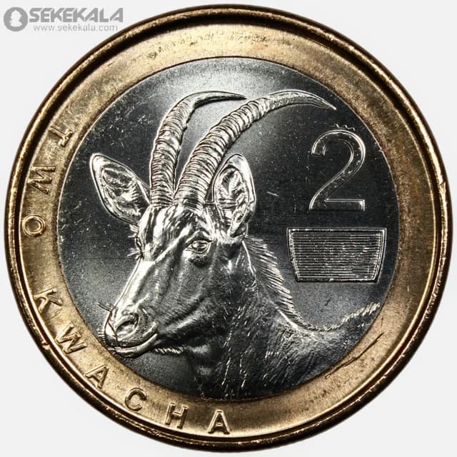 سکه 2 کواچا دوفلزی کمیاب زامبیا 2025 (UNC)