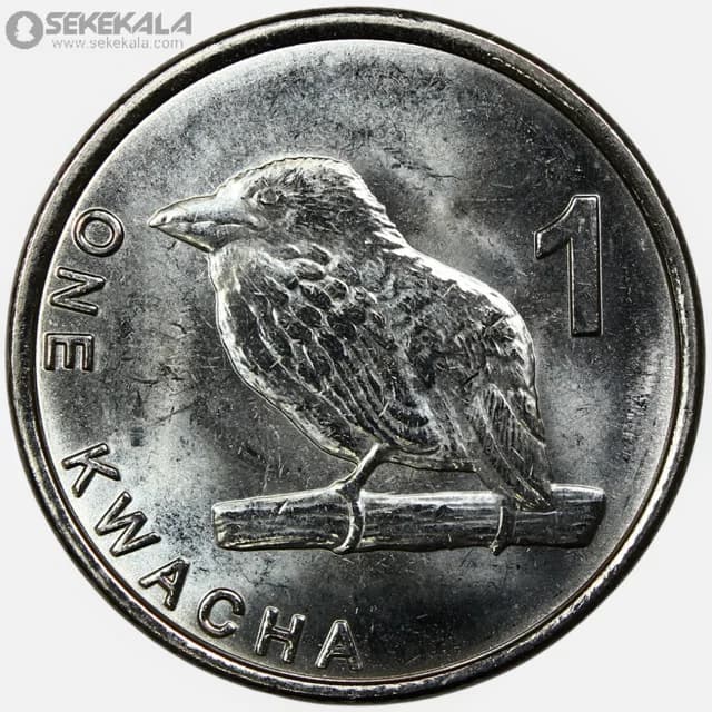 سکه 1 کواچا کمیاب زامبیا 2025 (UNC)