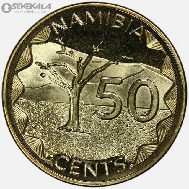 سکه 50 سنت کمیاب نامیبیا 2025 (UNC)