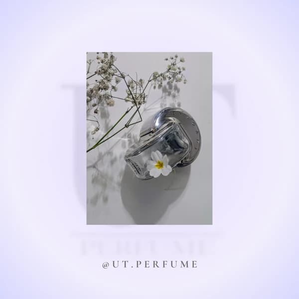 عطر بولگاری امنیا کریستالین زنانه | Bvlgari – Omnia Crystalline — تصویر ۴
