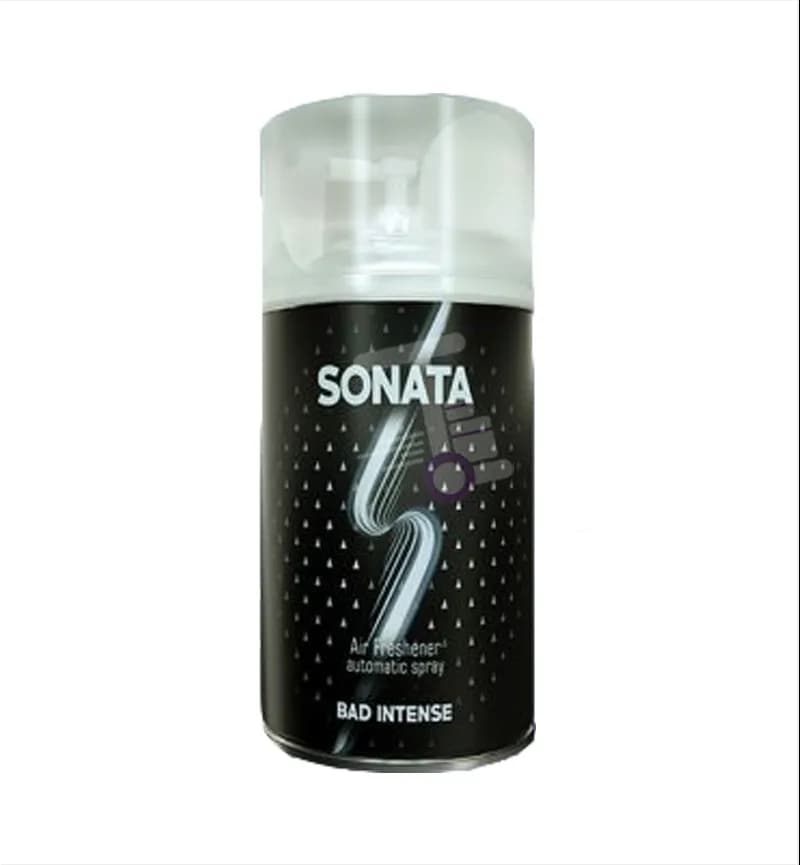 اسپری یدک ادکلنی سوناتا Sonata رایحه Bad Intense