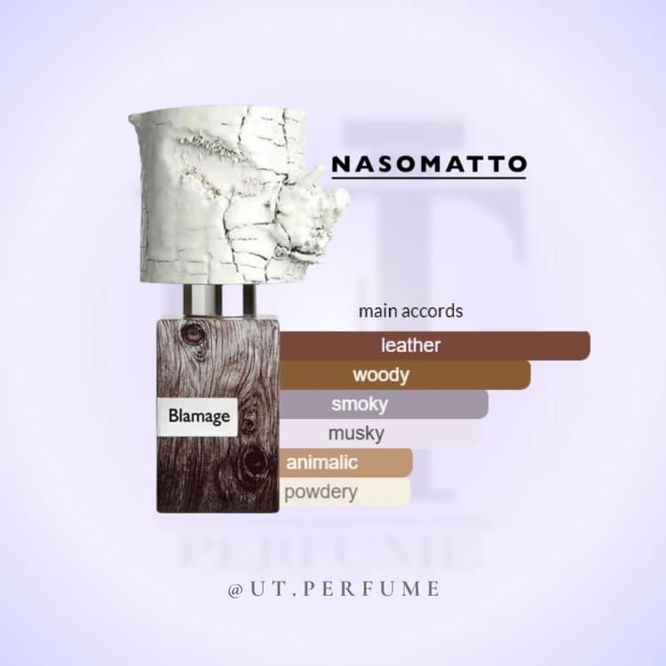 عطر ناسوماتو بلاماژ | Nasomatto – Blamage