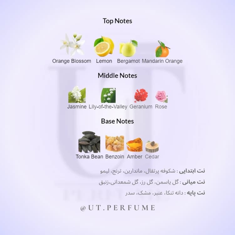 عطر نیکوس اسکالپچر هوم مردانه | NIKOS – Sculpture Homme — تصویر ۳