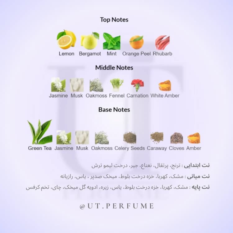 عطر الیزابت آردن گرین تی زنانه | Elizabeth Arden – Green Tea — تصویر ۳