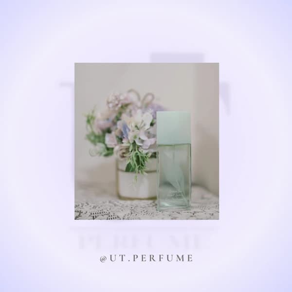 عطر الیزابت آردن گرین تی زنانه | Elizabeth Arden – Green Tea — تصویر ۶