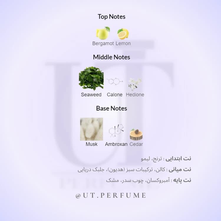 عطر ارتو پاریسی مگاماره | Orto Parisi – Megamare — تصویر ۳