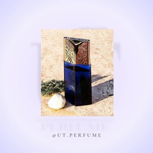 عطر ایسی میاکه لئو بلو د ایسه پور هوم مردانه | Issey Miyake – L’Eau Bleue d’Issey Pour Hom — تصویر ۶