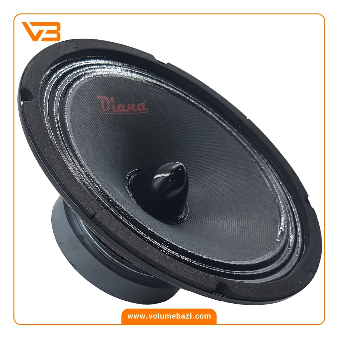 میدرنج 8 اینچ خودرو دیانا مدل MD-200.3 B (بولت دار) — تصویر ۳